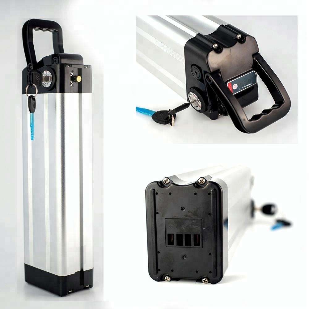 Rechargeable Silver Fish Type 48V 12ah Electric Bicycle Battery with BMS Charger