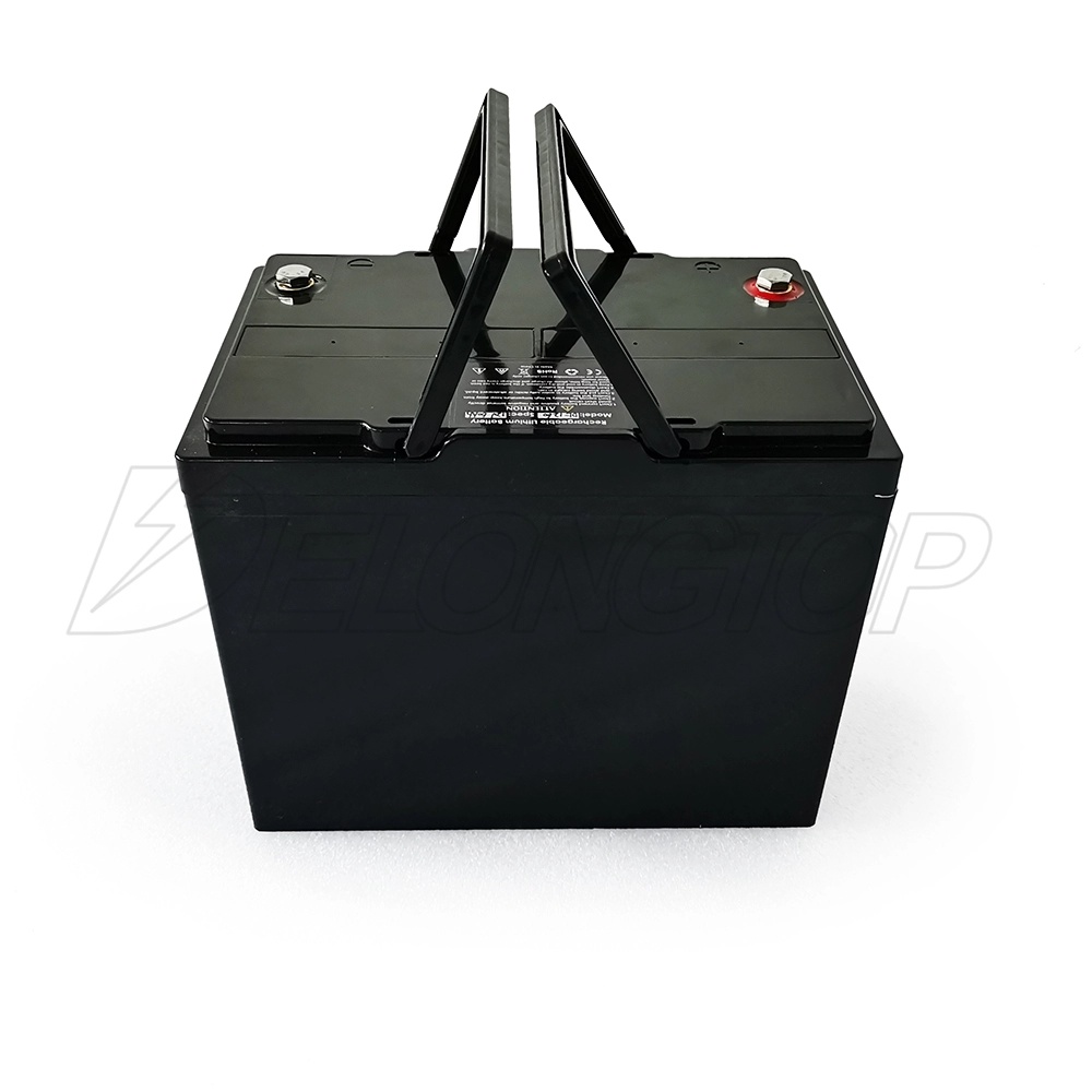 Portable Lithium Ion LiFePO4 Battery 4s2p Pack 12V 100ah