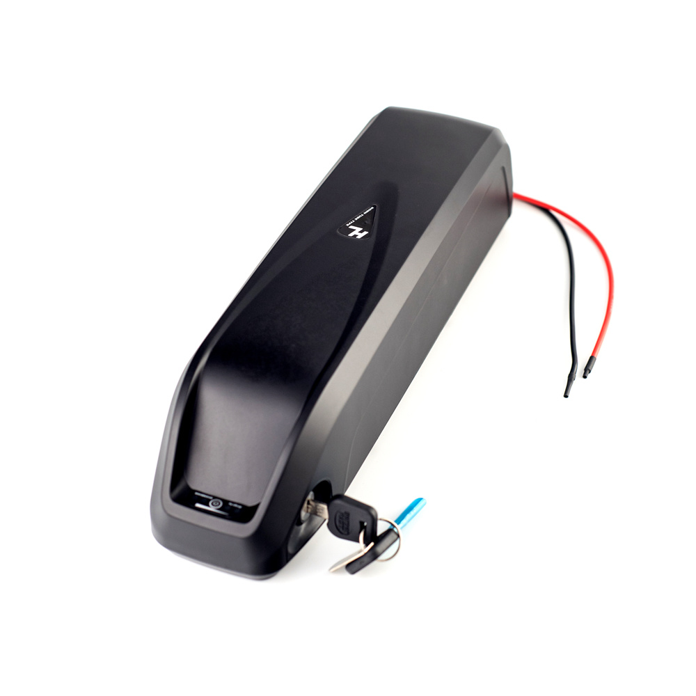Hailong Electric Scooter Ebike Battery 36V 48V 15ah 20ah Lithium Ion Electric Bicycle Battery for Electric Bike