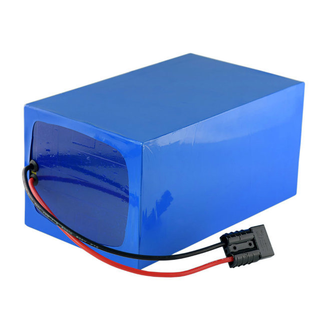 48V Nominal Voltage and Customized Size Battery Pack for Christmas Lights