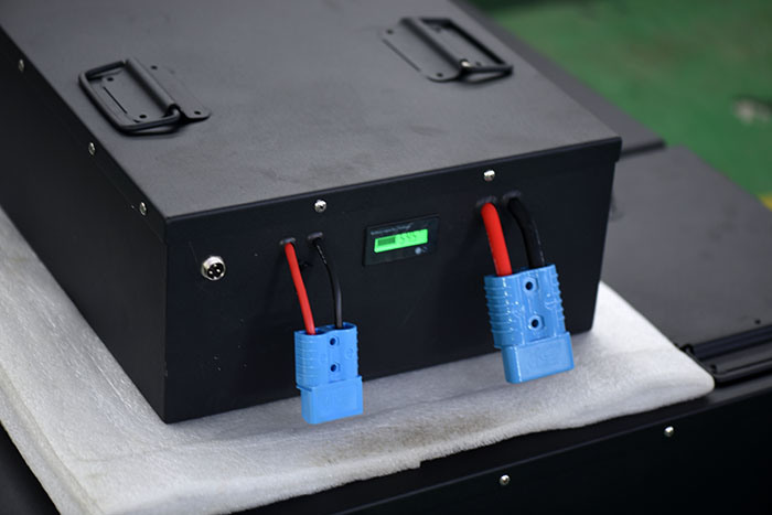 EV Car Battery LiFePO4 48V 200ah BMS Camper Prismatic Batteries