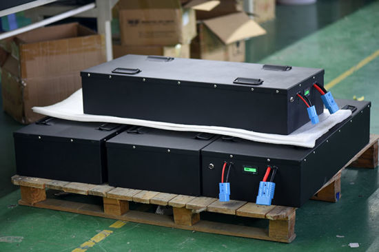 EV Car Battery LiFePO4 48V 200ah BMS Camper Prismatic Batteries