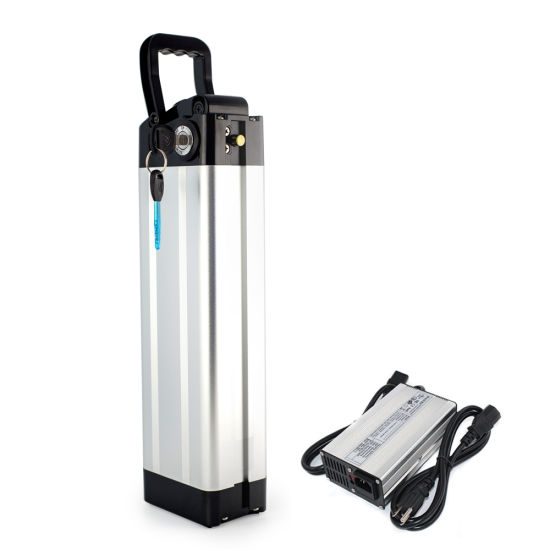 Customized Li-ion Battery 24V 36V 48V Lithium Ion Battery for Electric Bike Silver Fish