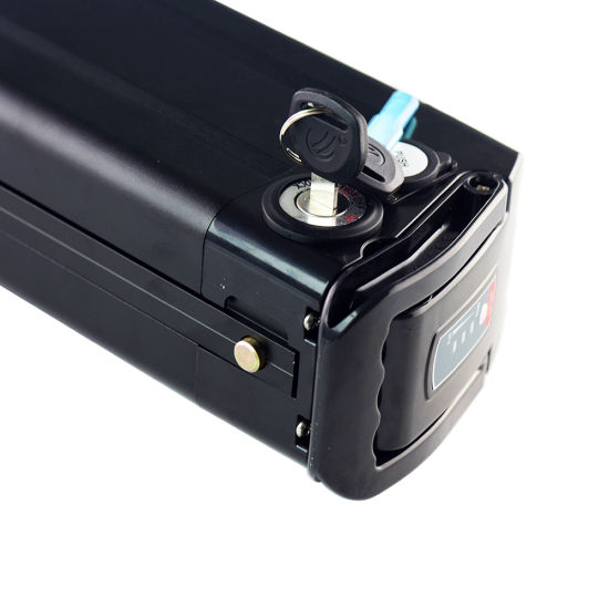 Customized Li-ion Battery 24V 36V 48V Lithium Ion Battery for Electric Bike Silver Fish