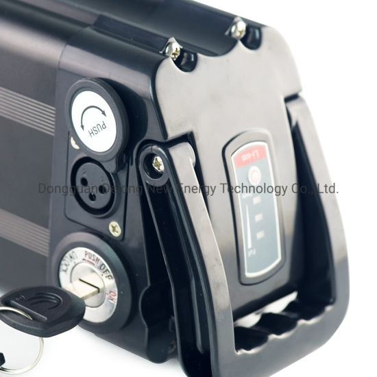 High Capacity Lithium Battery 48V 17.5ah Electric Bike Battery Silver Fish Type Battery with Charger