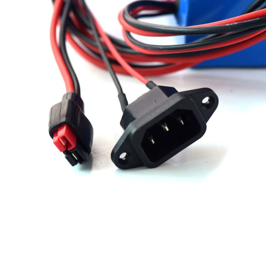 Wholesale Lithium Battery Pack 1000W 48V 20ah Li-ion Battery for Electric Bike