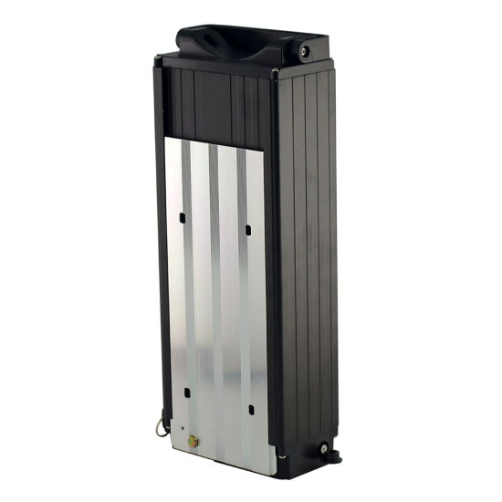 Rechargeable 48V 20ah Lithium Battery for 1000W Electric Bicycle