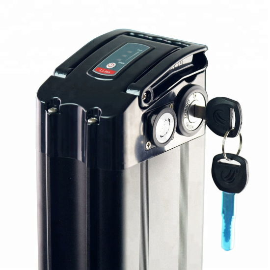 Silverfish Type 48V 20ah Bike Battery with Lithium Ion 18650 Battery for E Bike