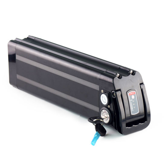Ebike Battery Silver Fish 36V with Charger