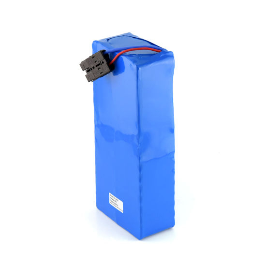Customized 48V 20ah Li-ion Battery Pack for 1000W Electric Bike/Scooter