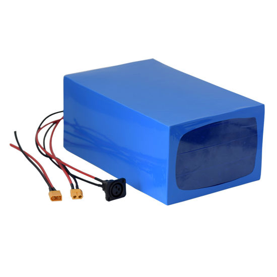 Wholesale LiFePO4 Battery 48V 60ah for Electric Power Cart