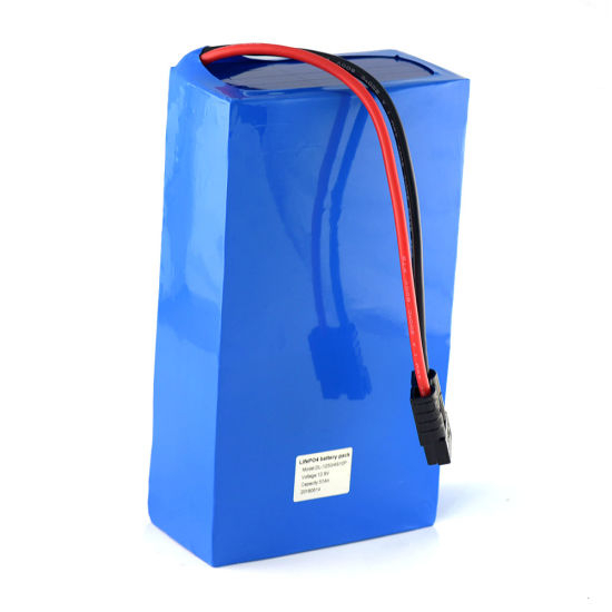 LiFePO4 Deep Cycle Lithium Iron Phosphate Battery 12V 50ah