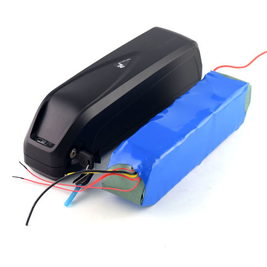 48V 10ah 18650 Power Battery with USB for Ebike