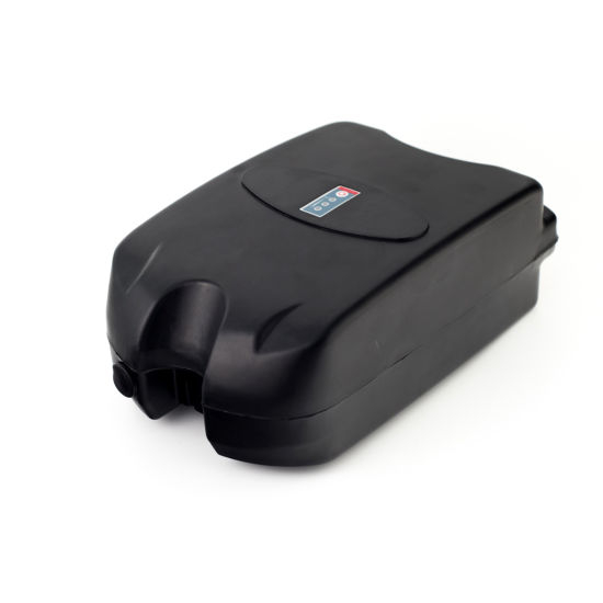 Frog Type E-Bike Battery Pack 24V 10ah for Electric Scooter Motorcycle