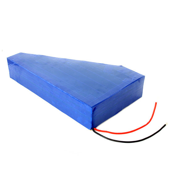 Customized Lithium Battery Pack 48V 20ah China Manufacturer