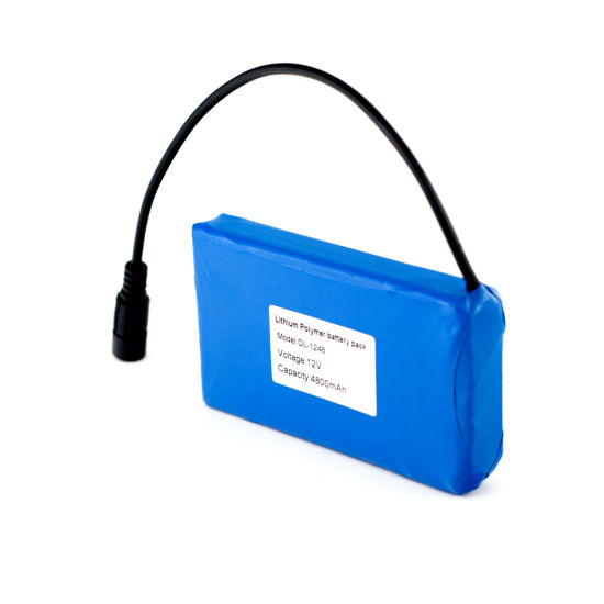 12V 4800mAh Rechargeable Lithium Polymer Battery Pack