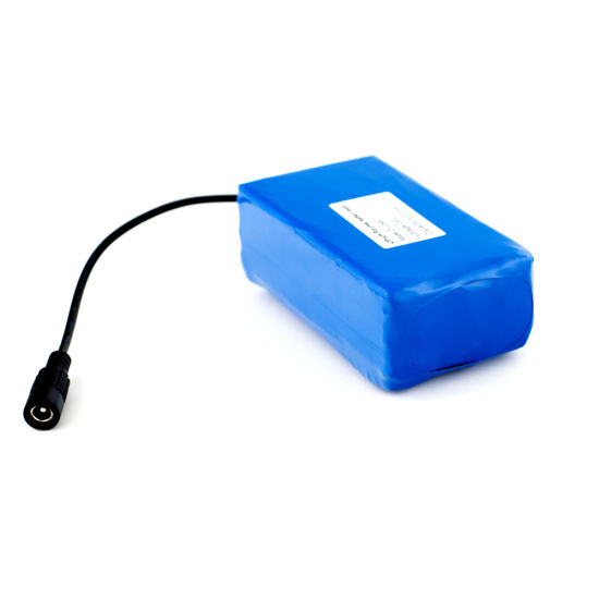 24V 5ah Rechargeable Lithium Polymer Battery Pack