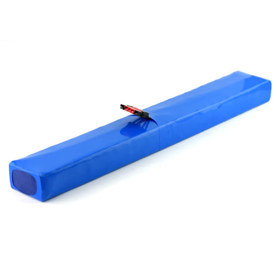 Wholesale 48V 10ah Ebike Lithium Battery Pack for 500W Electric Bike