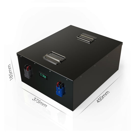 Rechargeable Lithium Ion Battery 48V 100ah for Solar Storage System LiFePO4 Battery Pack