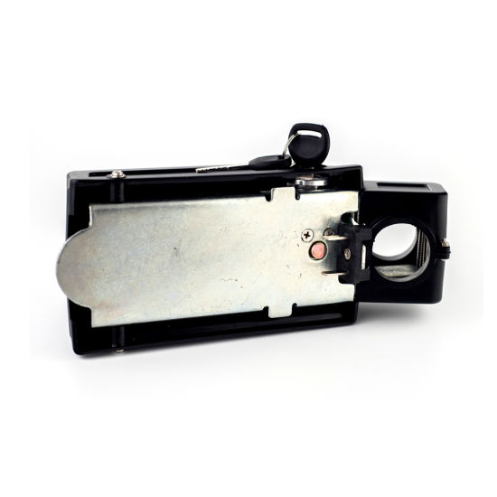 24V Electric Bike Lithium Ion Battery Small Frog Type