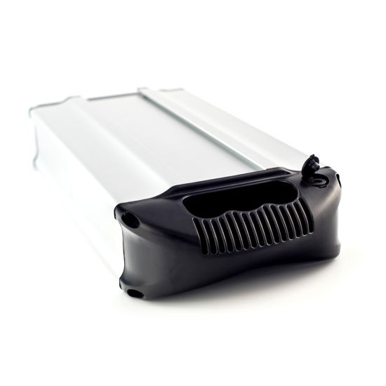 48V 20ah Lithium Ion Battery Pack for Electric Vehicle
