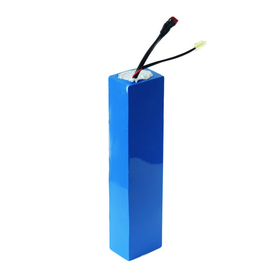 Wholesale 48V Lithium Ion Battery for Small Device