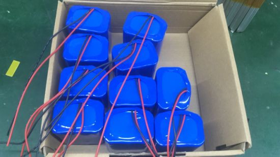 Rechargeable Small Li-ion Battery 12V 4000mAh