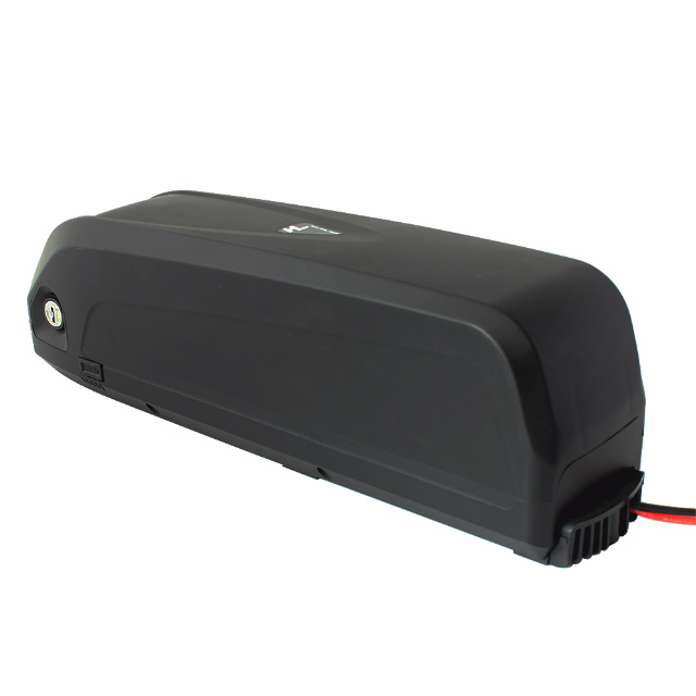 Customize Lithium Ion Pack 48V 15ah Battery for 1000W Electric Bike