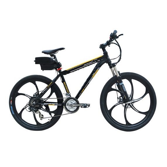 E-Bike Battery Pack 32650 LiFePO4 Battery Cells 24V 10ah for Electric Bicycle Scooter
