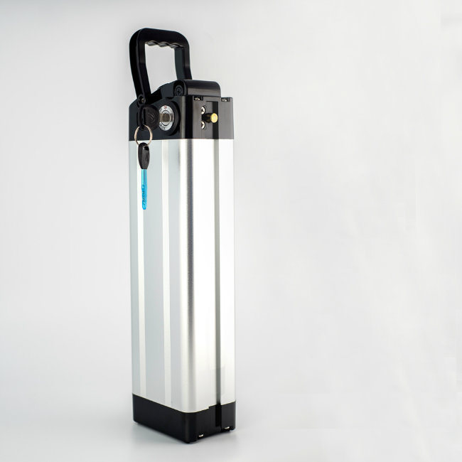 Good Security E-Bike Battery 48V 20ah Lithium Ion Battery