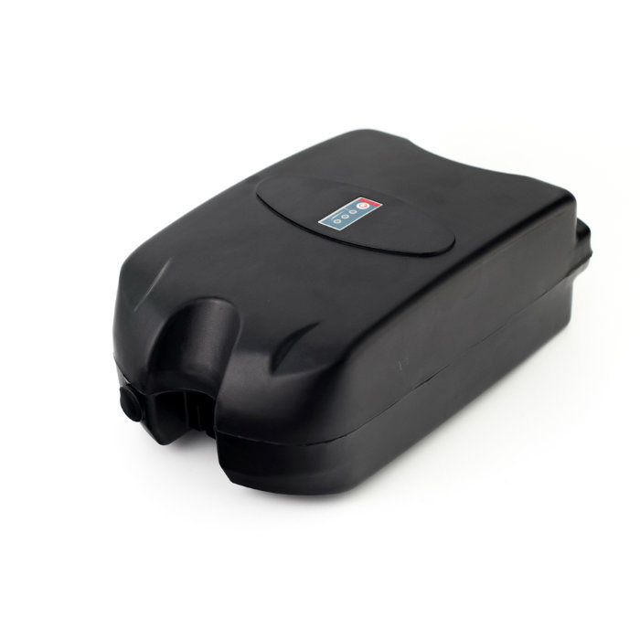 Small Frog E-Bike Battery 24 Volt Lithium Battery Pack