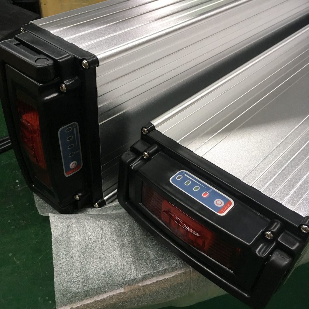OEM Electric Bike Battery 48V 20ah with High Capacity