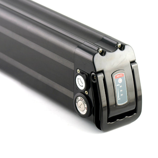 Rechargeable Silver Fish 48V 15.6ah 1000W Electric Bike Battery with 4A Charger