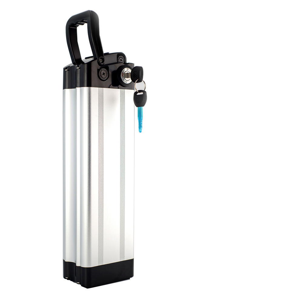 Li-Po Battery 48V12ah BMS and Charger for E-Bike