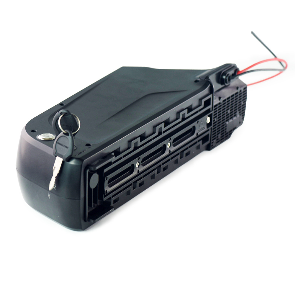 Dolphin Battery Down Tube Type Ebike Bicycle Lithium Battery 48V 13ah Lithium Battery