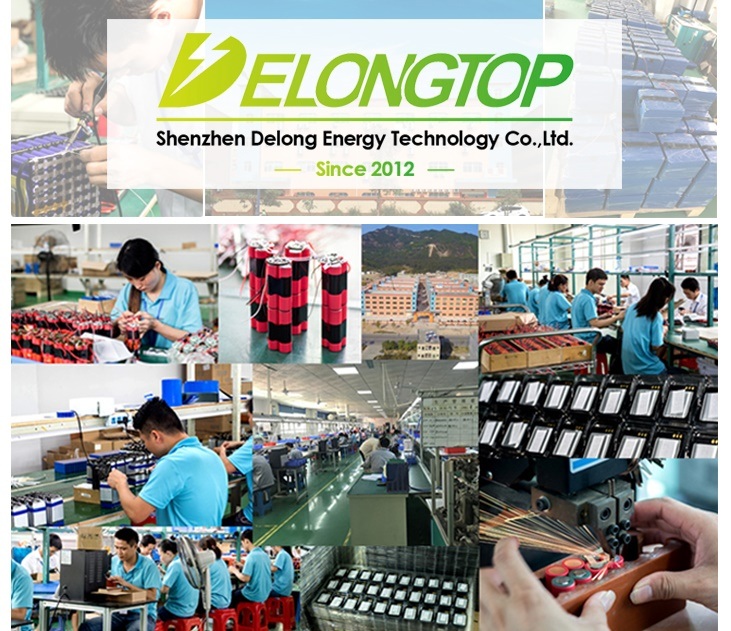 Customized Li-ion Battery 24V 36V 48V Lithium Ion Battery for Electric Bike Silver Fish
