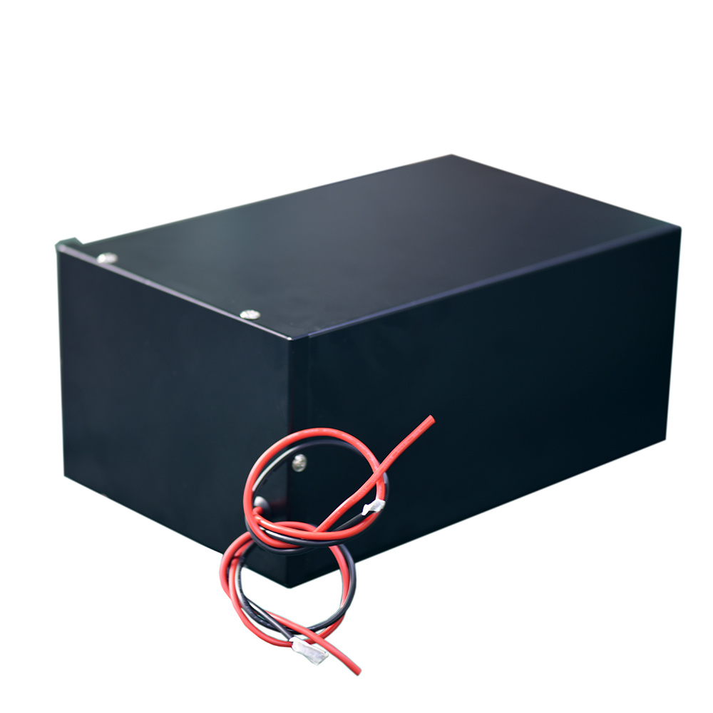 48V 40ah 1000W LiFePO4 Lithium Polymer Battery Pack for Electric Vehicles