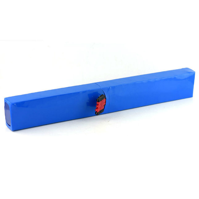 48V 10ah Rechargeable Lithium Ion Battery Pack