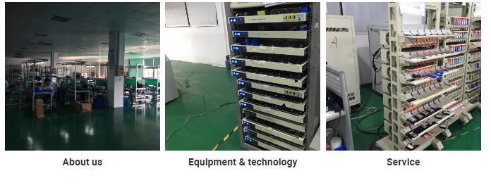 Customized LiFePO4 48V 20ah Battery for Electric Vehicle