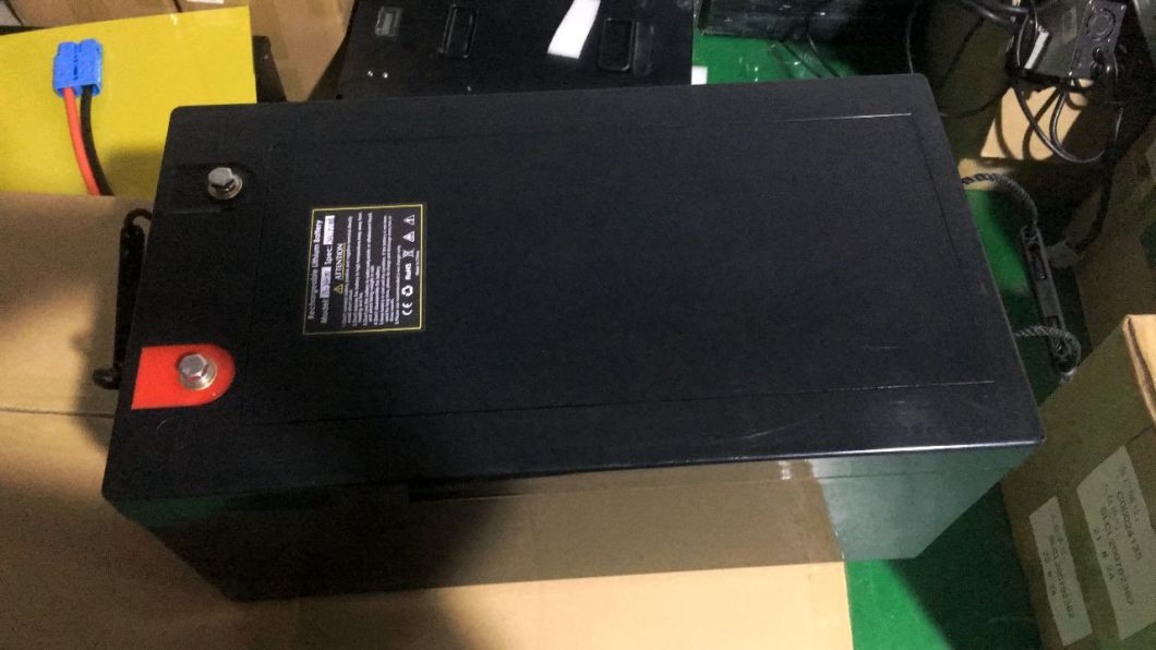 Lithium 24V 100ah LiFePO4 Deep Cycle Battery with Home Charger BMS Solar RV