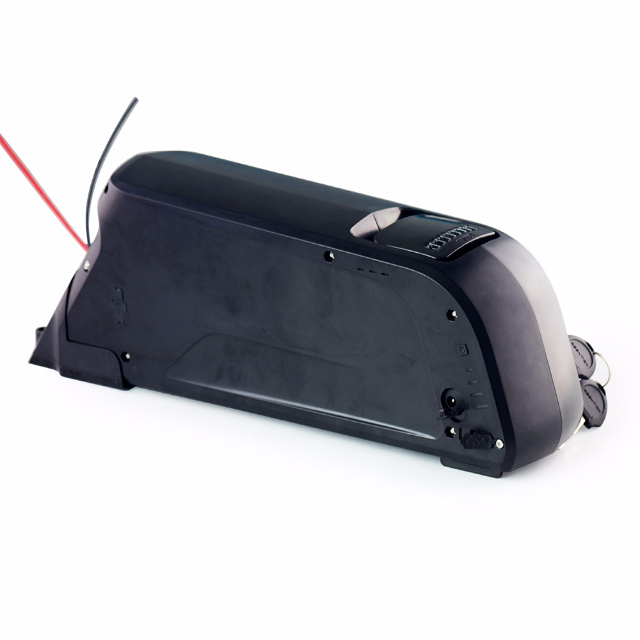 48V 10ah Lithium Ion Battery for Electric Bike