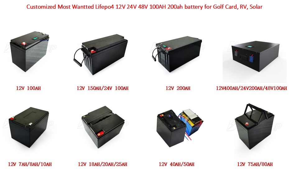 EV Car Battery LiFePO4 48V 200ah BMS Camper Prismatic Batteries